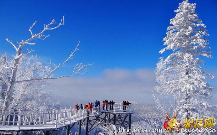 001thYTdzy6X2ZKozqB7d&amp;690 - ����.jpg