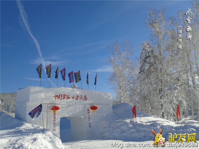 001thYTdzy6X2ZLhuGl81&amp;690 - ����.jpg